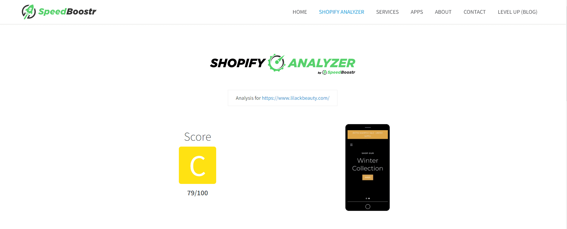 SpeedBoostr score of 79 out of 100 before optimization